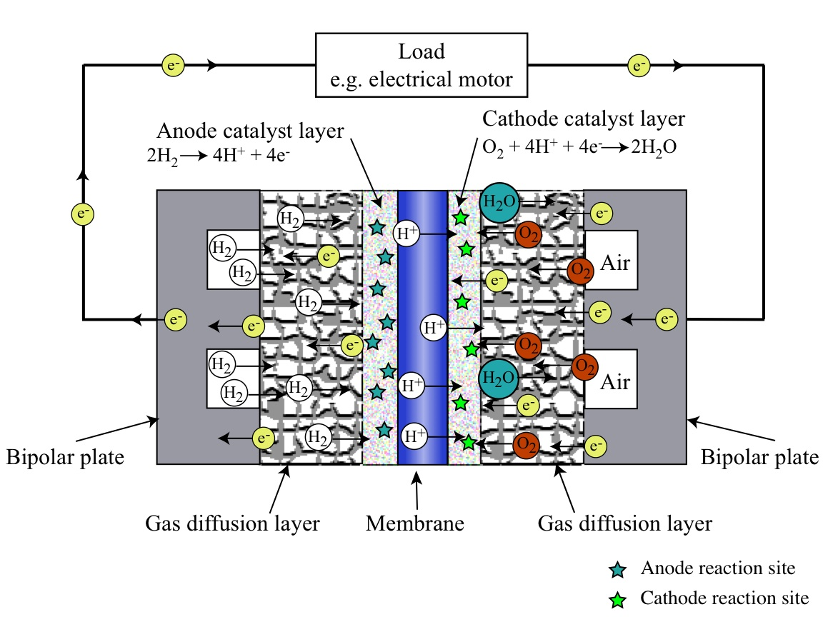View of a 2D fuel cell membrane electrode assembly